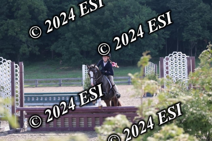 185SC1_7154