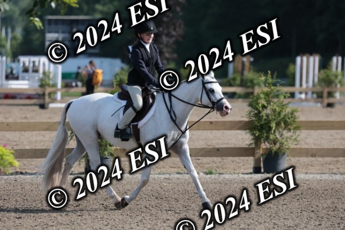 185SC1_7178