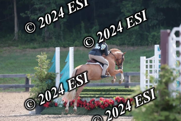 185SC1_7179