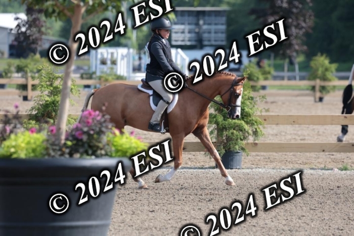 185SC1_7189