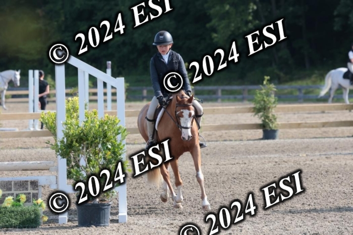 185SC1_7191