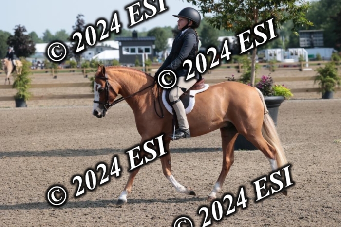 185SC1_7194