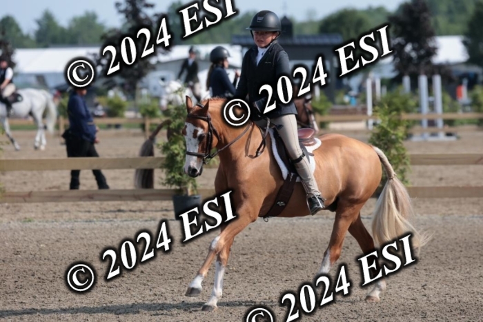 185SC1_7206
