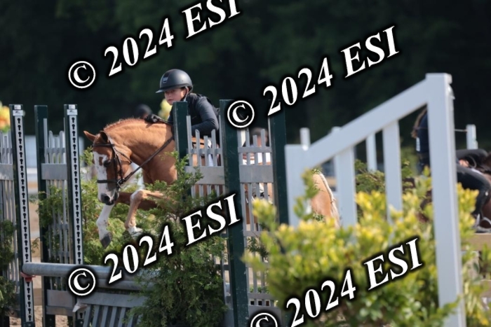 185SC1_7216