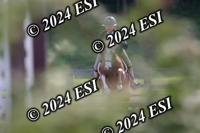 185SC1_7264