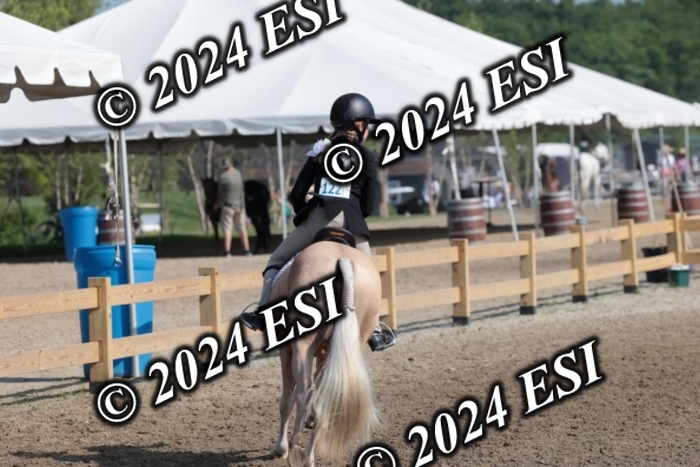 185SC1_7279