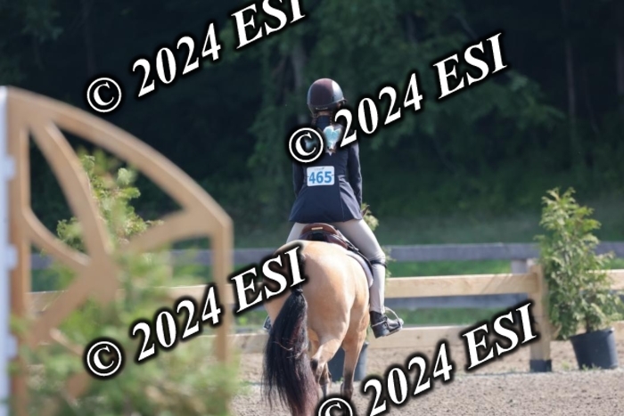 185SC1_7289
