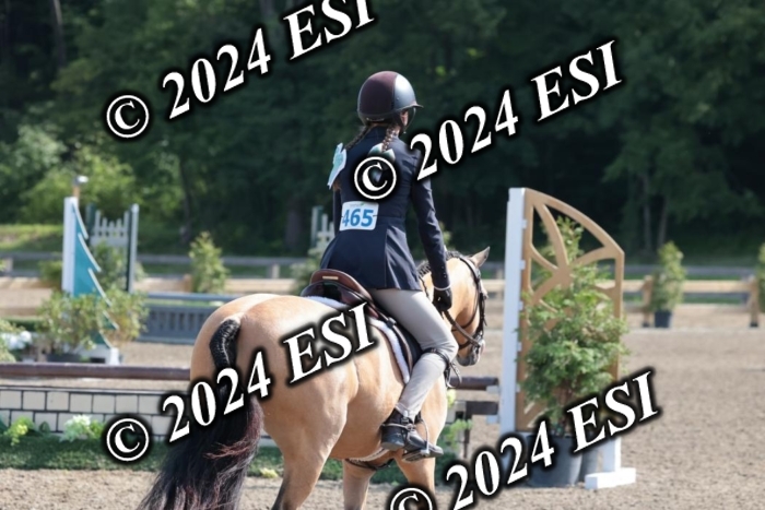 185SC1_7336