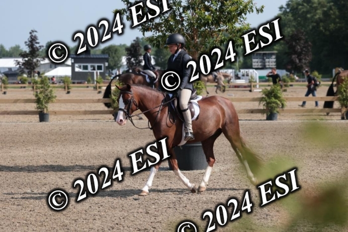 185SC1_7364