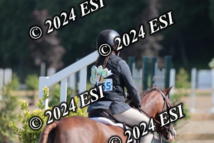 185SC1_7404