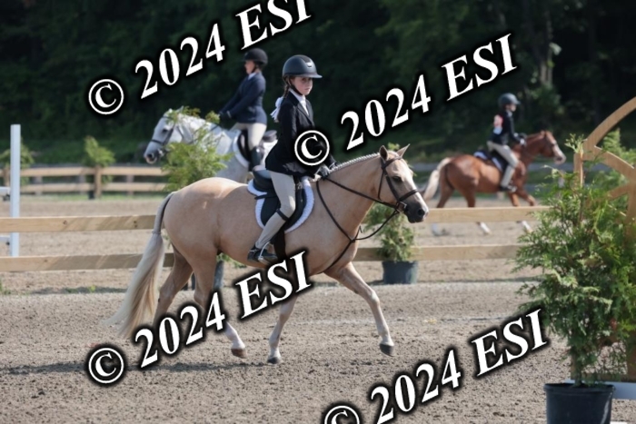 185SC1_7417
