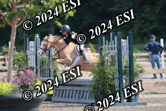 185SC1_7459