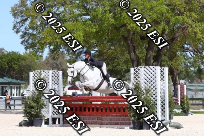 373MJC_7626