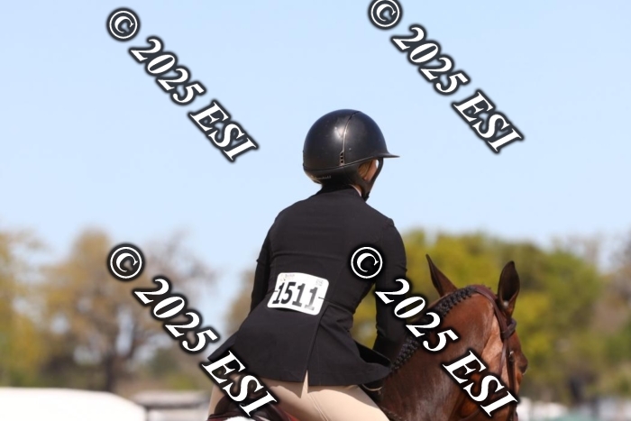 373MJC_7632