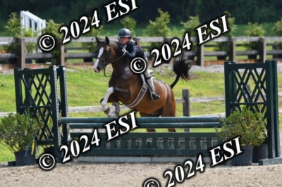 157DK1_0137