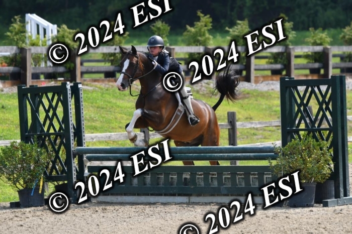 157DK1_0137