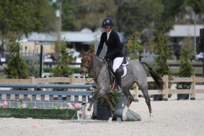 172AF2I6297-bTwQArbuiAw3Es3HjMGEPNcc