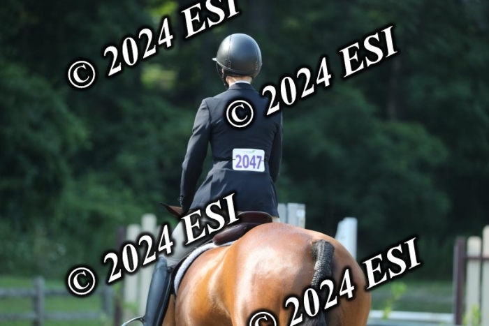662RWCL3303