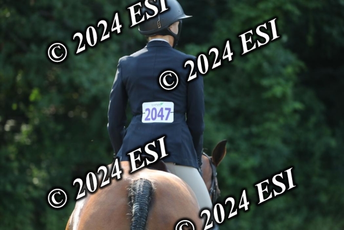 662RWCL3316