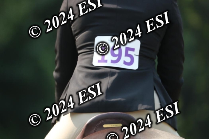 662RWCL3334
