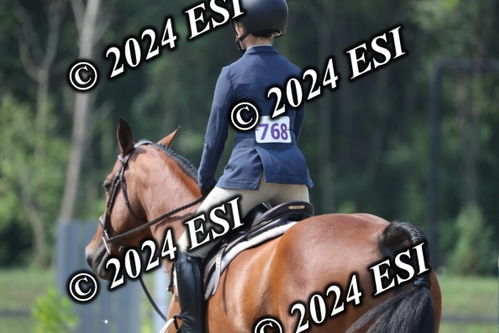 662RWCL3497