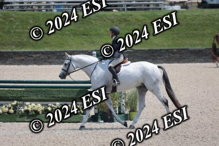 087SC1_4085