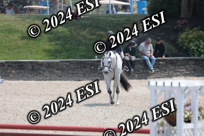 087SC1_4128