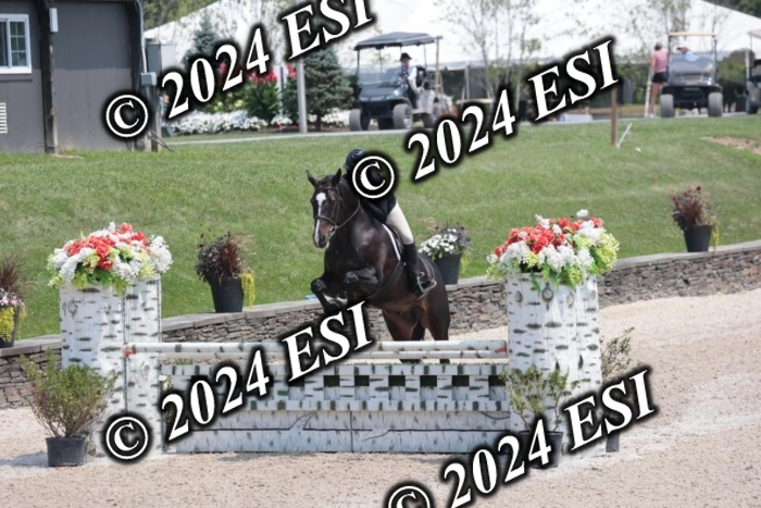 087SC1_4173