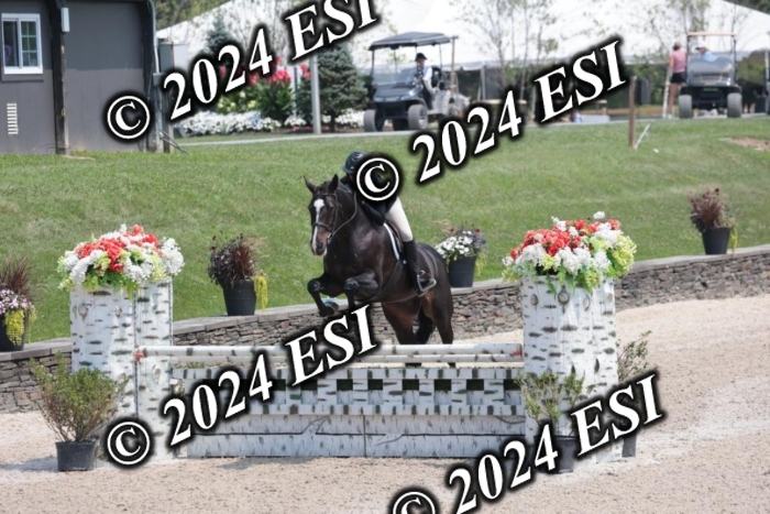 087SC1_4174