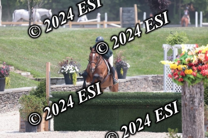087SC1_4196