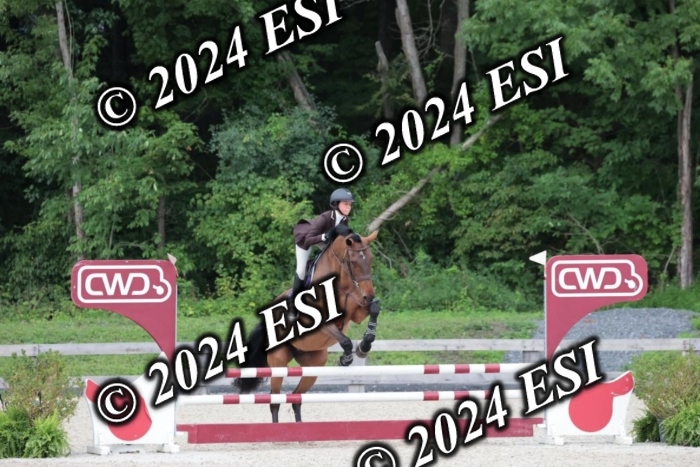 204SC1_0330