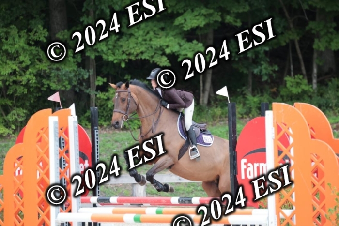 204SC1_0335
