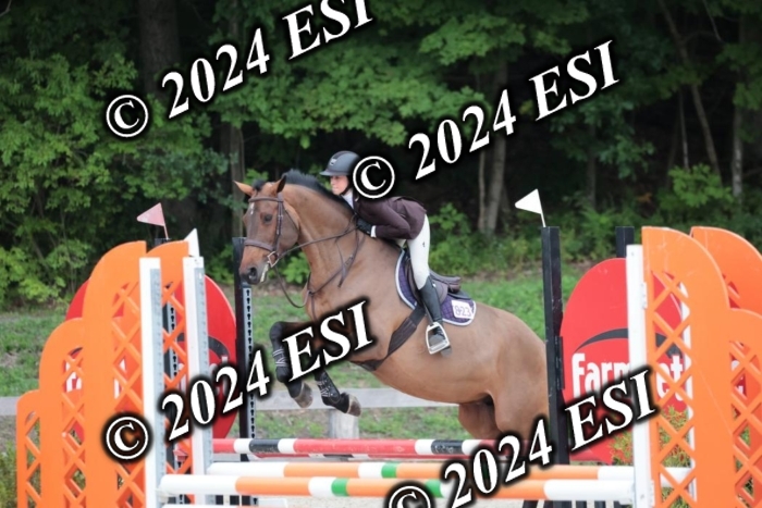 204SC1_0336