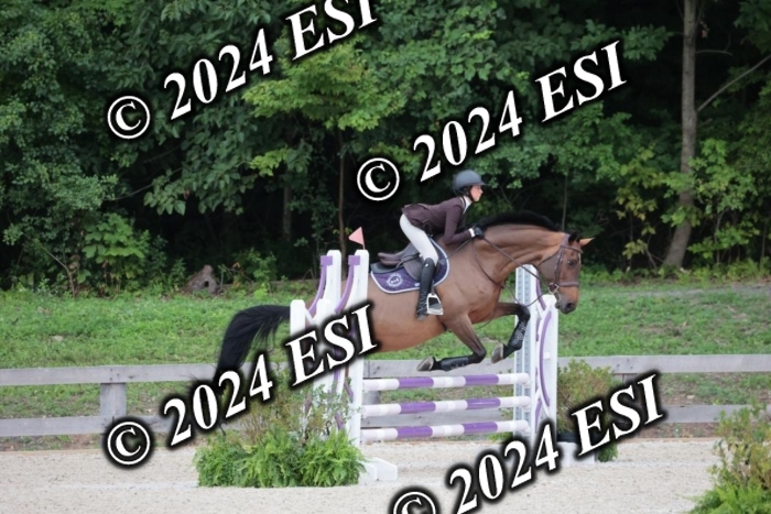 204SC1_0344