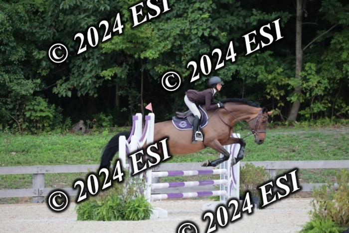 204SC1_0345