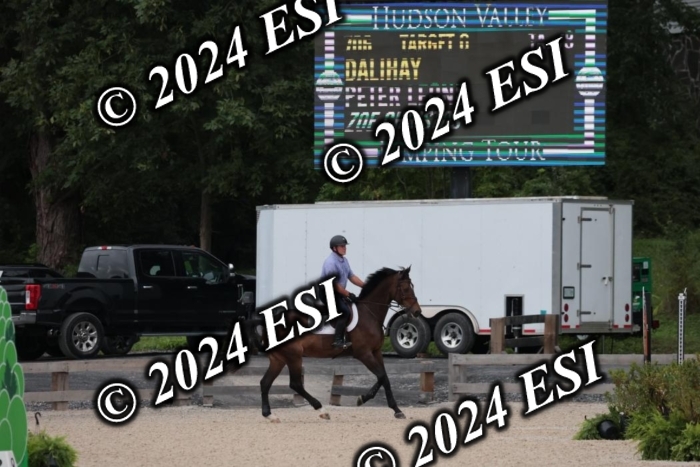 204SC1_0347