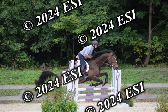 204SC1_0373