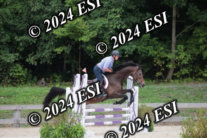 204SC1_0374
