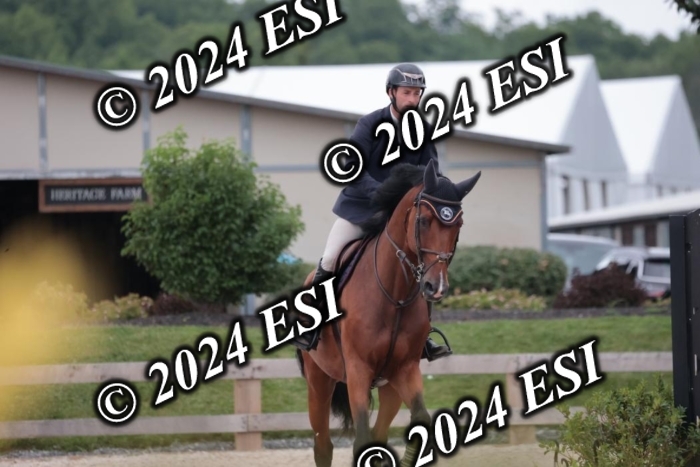 204SC1_0379