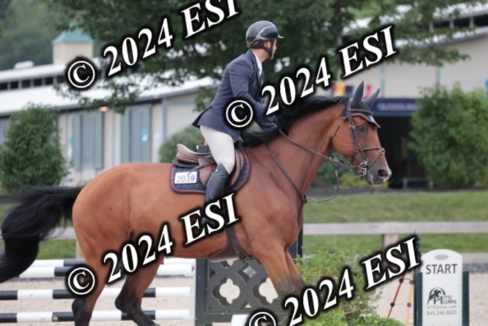 204SC1_0381