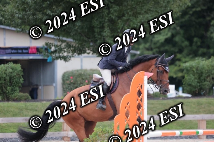 204SC1_0382