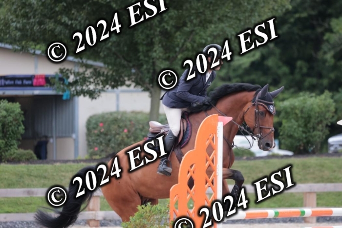 204SC1_0383