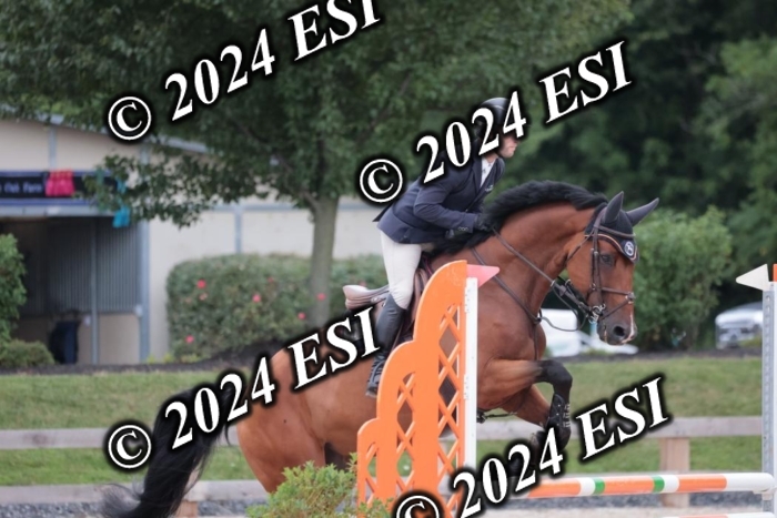 204SC1_0384