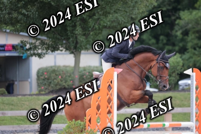 204SC1_0385