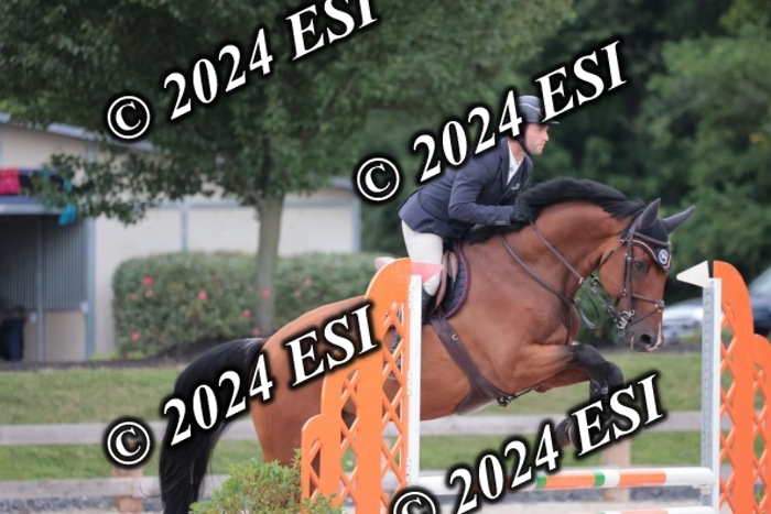 204SC1_0386