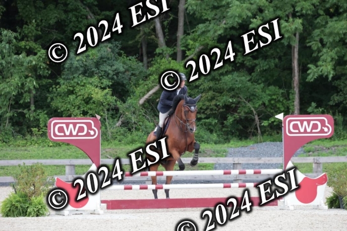 204SC1_0387