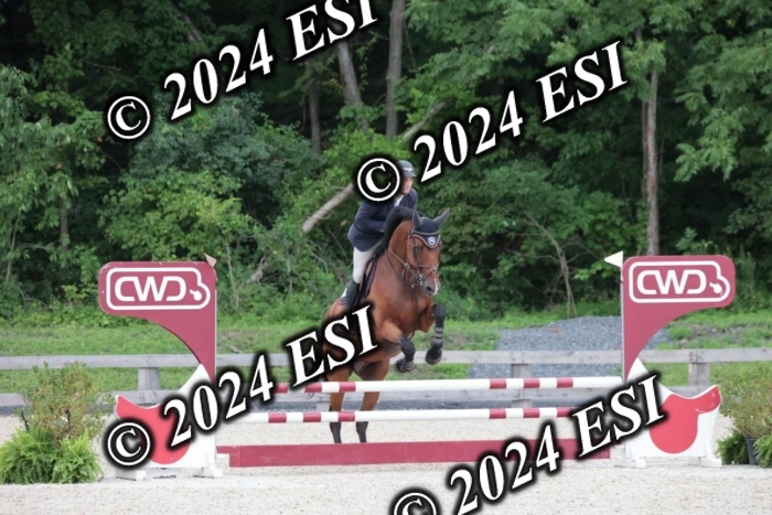 204SC1_0388