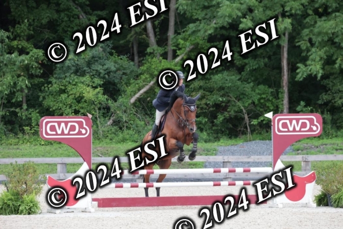 204SC1_0389