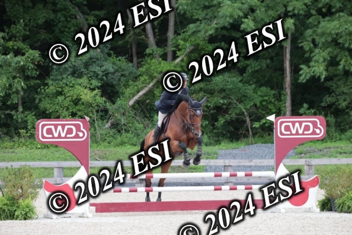 204SC1_0390