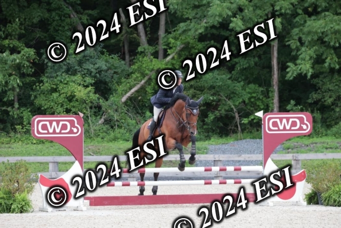 204SC1_0391